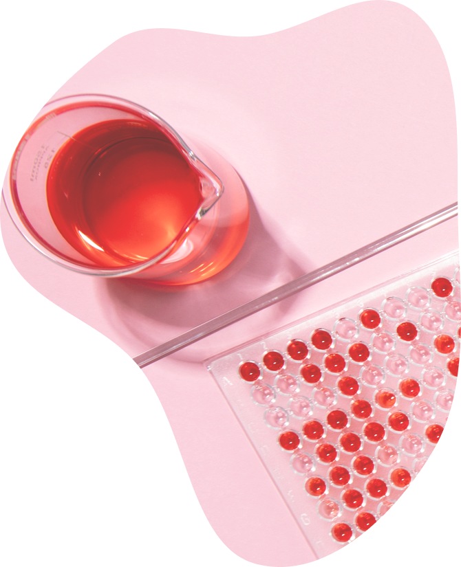Check-up «Complete Blood Count»