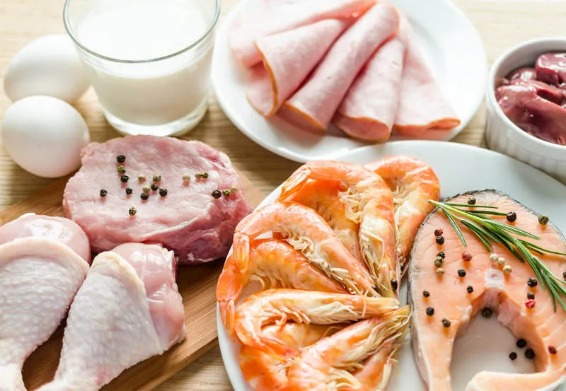 What is a protein diet