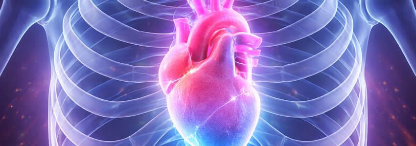 Approach to cardiology