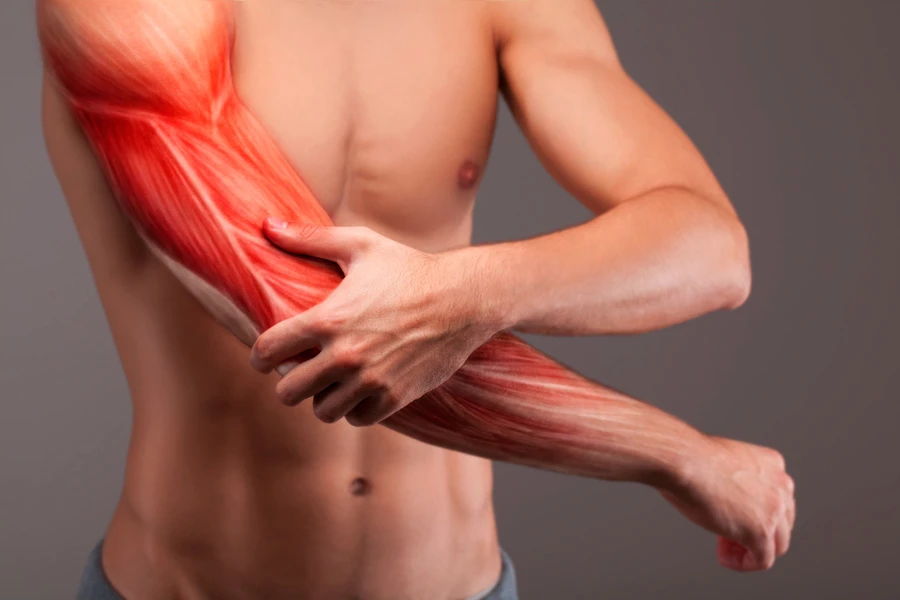 MOTS-c and Muscle Activity Support: New Opportunities for Active Individuals