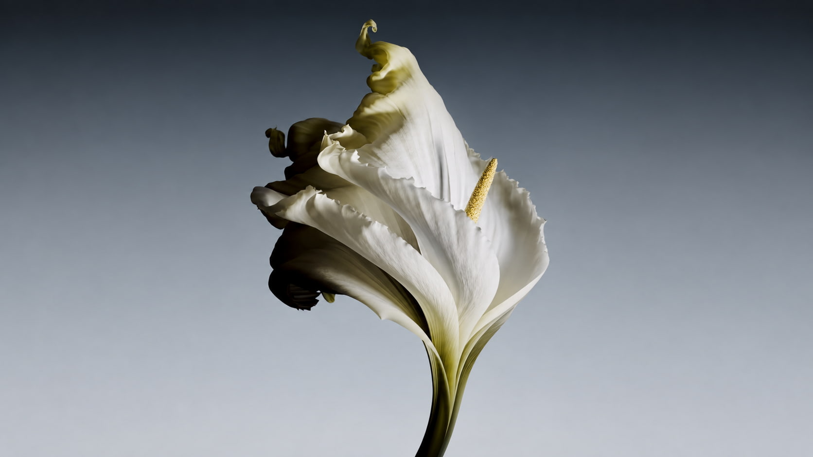Infertility (Female and Male)