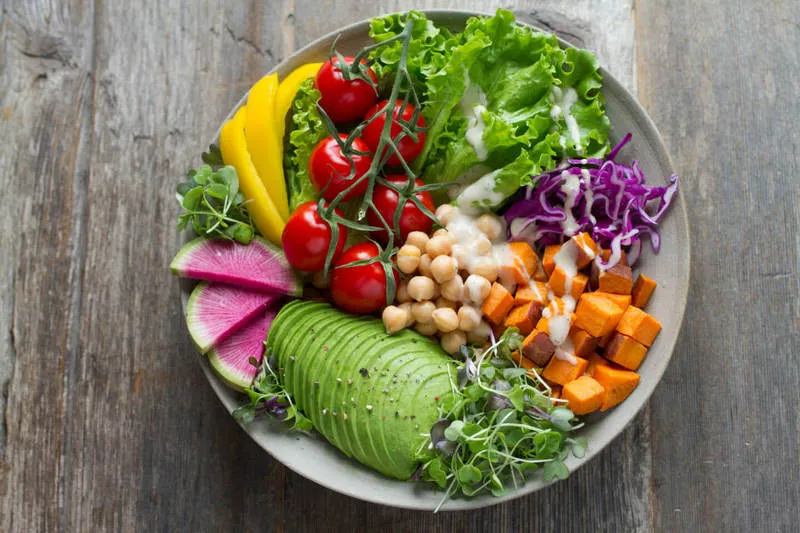 What is a protein diet
