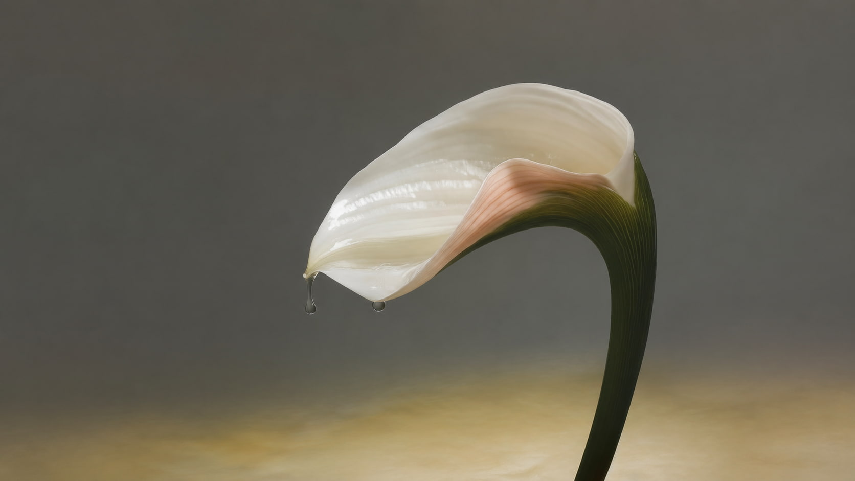 Acute and Chronic Gynecological Conditions