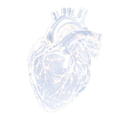 Cardiology
