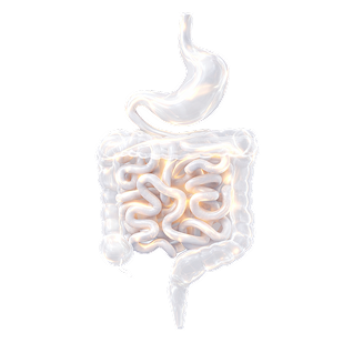 Gastroenterology