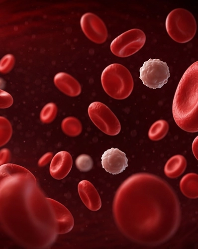 Cholesterol Reduction Program